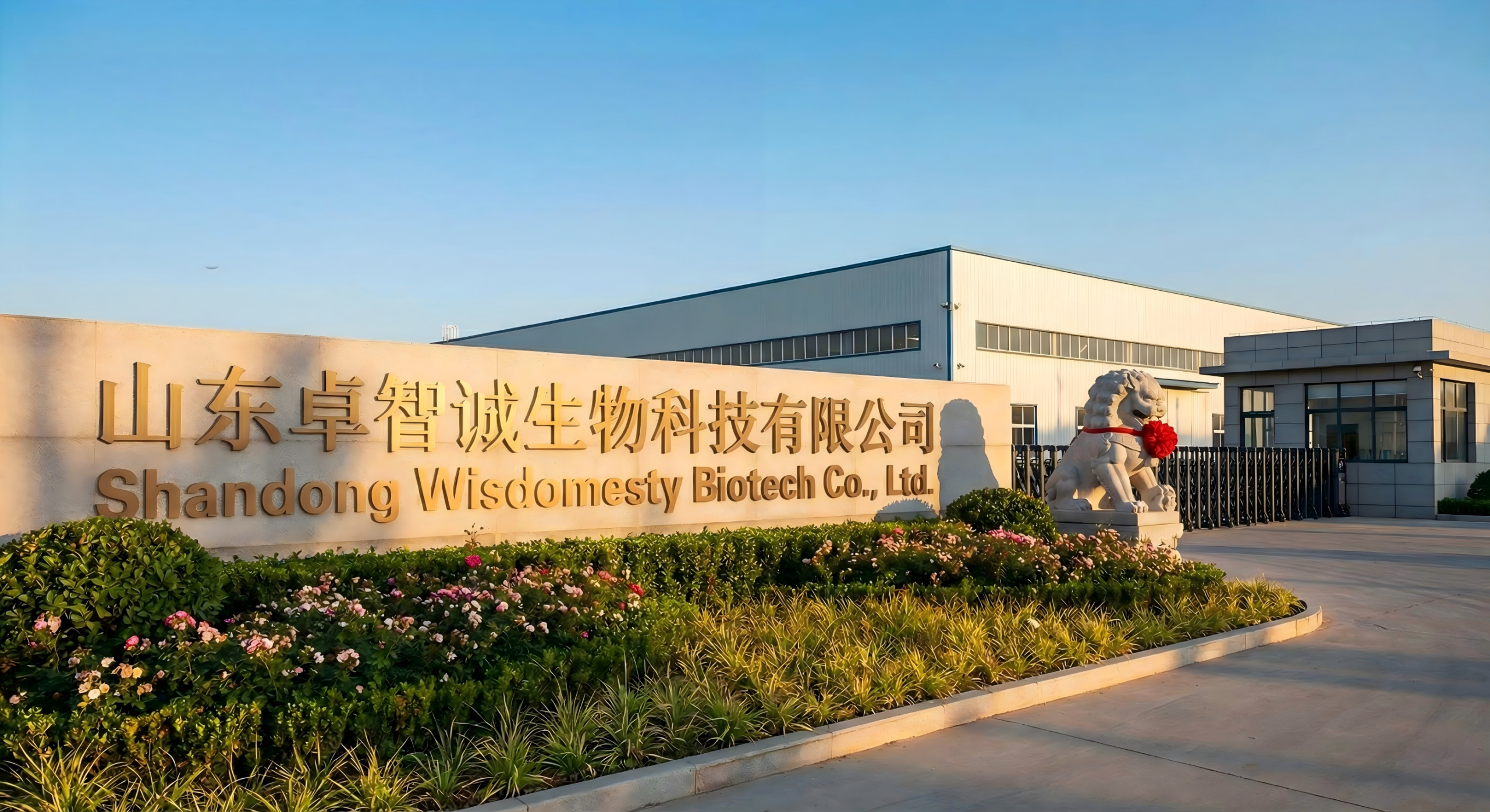 Shandong Wisdomesty Biotech Co. Ltd. Factory